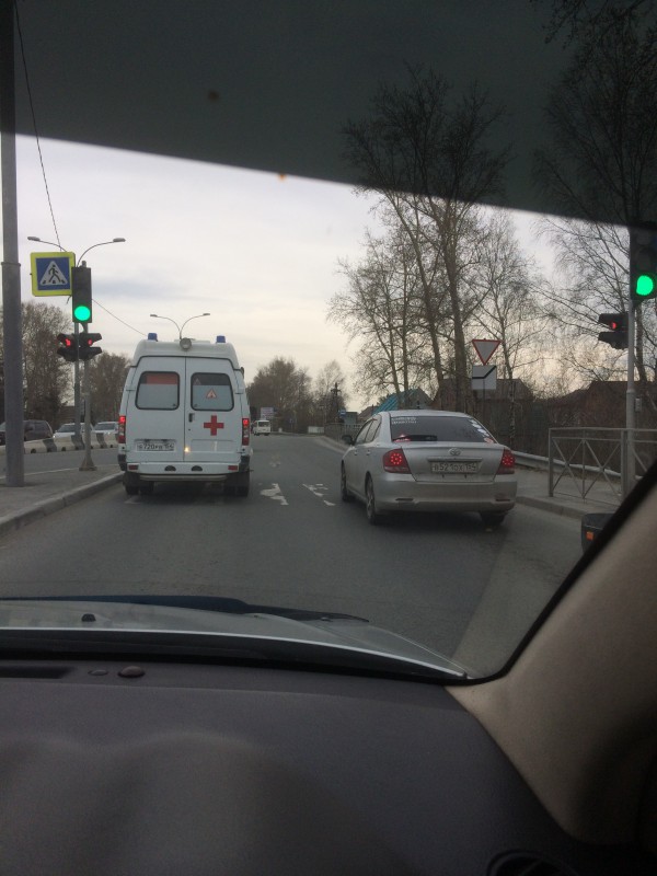 IMG_0522.JPG (2.16 МБ) 13859 просмотров IMG_0522.JPG