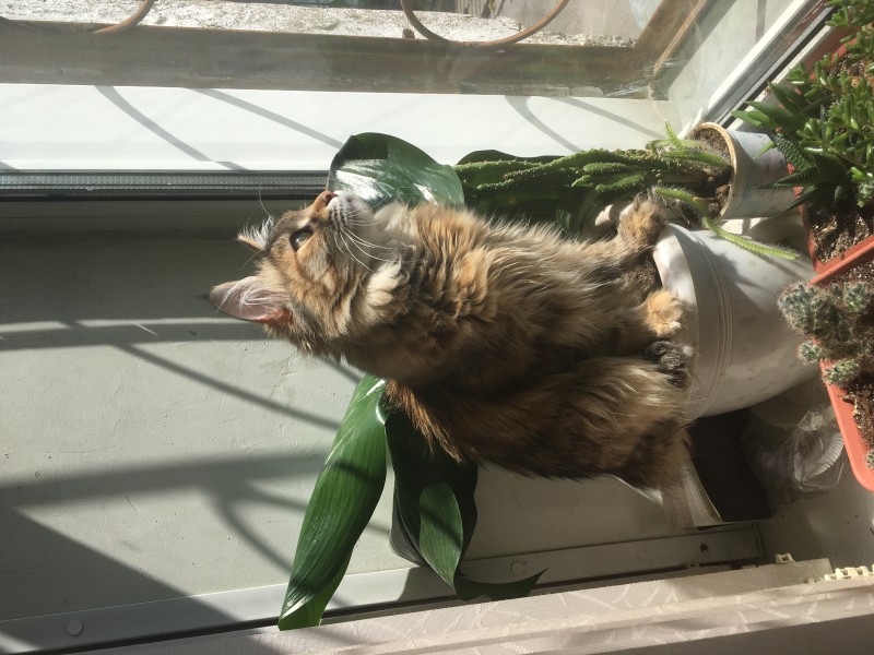 3929CBCA-F8FE-460C-97E2-3BC20A4D633B.jpeg (2.57 МБ) 15017 просмотров 3929CBCA-F8FE-460C-97E2-3BC20A4D633B.jpeg