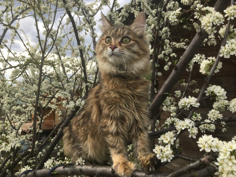 4CCBDDD7-E89E-4CF6-B6A5-51E29E6EEF7E.jpeg (1.17 МБ) 13070 просмотров 4CCBDDD7-E89E-4CF6-B6A5-51E29E6EEF7E.jpeg