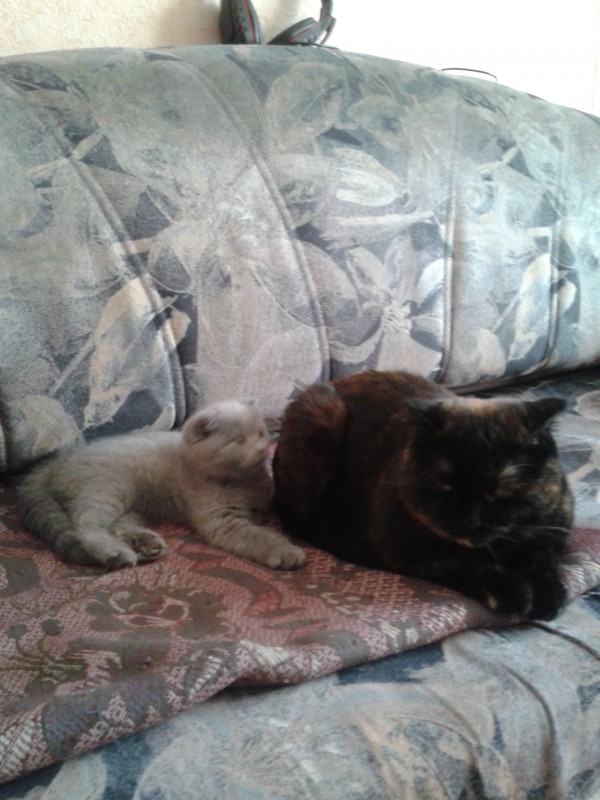 13244201-06-08 19.44.53.jpg (1.17 МБ) 11551 просмотр 13244201-06-08 19.44.53.jpg