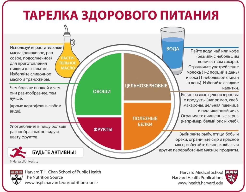 ПИТАНИЕ.jpg