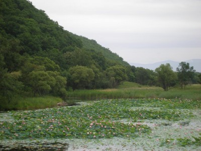 P1011279.JPG (167.71 КБ) 9082 просмотра P1011279.JPG