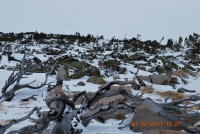 DSC_0255.JPG (193.29 КБ) 8990 просмотров DSC_0255.JPG