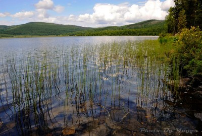 2.jpg (133.29 КБ) 8912 просмотров 2.jpg