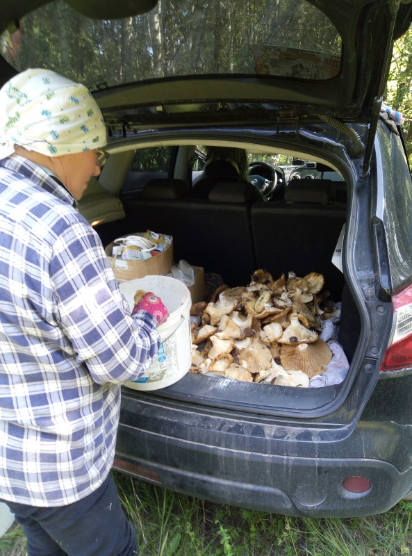 IMG_20230803_120227.jpg (3.81 МБ) 23830 просмотров IMG_20230803_120227.jpg