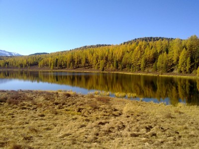 18092011818.jpg (216.9 КБ) 8855 просмотров 18092011818.jpg