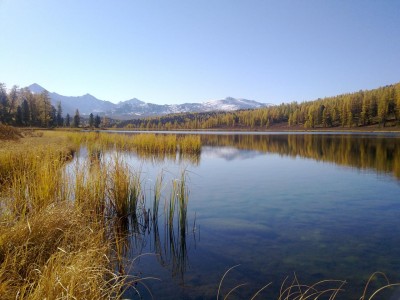 18092011820.jpg (172.56 КБ) 8858 просмотров 18092011820.jpg