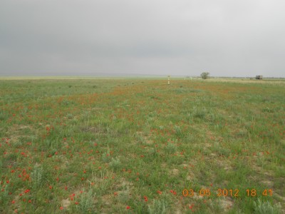DSCN2615.jpg