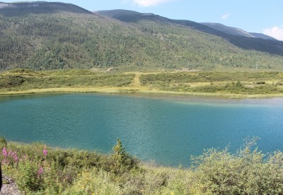 IMG_4859.JPG