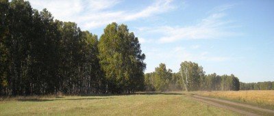 DSCN1188.JPG (119.88 КБ) 7932 просмотра DSCN1188.JPG