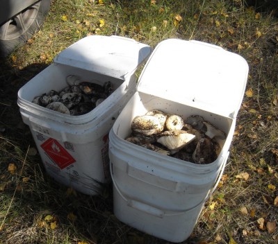 DSCN1186.JPG (245.08 КБ) 7916 просмотров DSCN1186.JPG