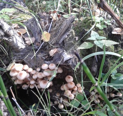 2012-09-03 10.18.30.jpg (350.33 КБ) 7862 просмотра 2012-09-03 10.18.30.jpg