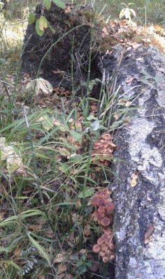 2012-09-05 09.28.56.jpg