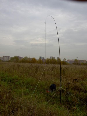 PICT3955.jpg